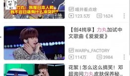 刘宇直播爆料视频下载安装,下载安装过程全解析